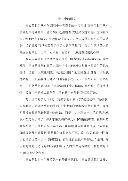 以我心中的语文为话题作文