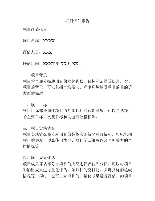 项目评估报告
