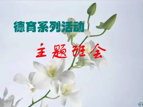 德育系列活动主题班会PPT课件