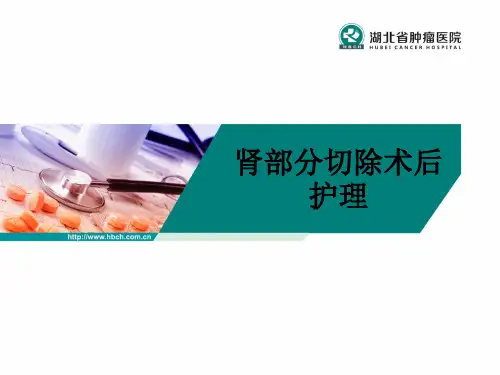肾部分切除术后护理ppt课件
