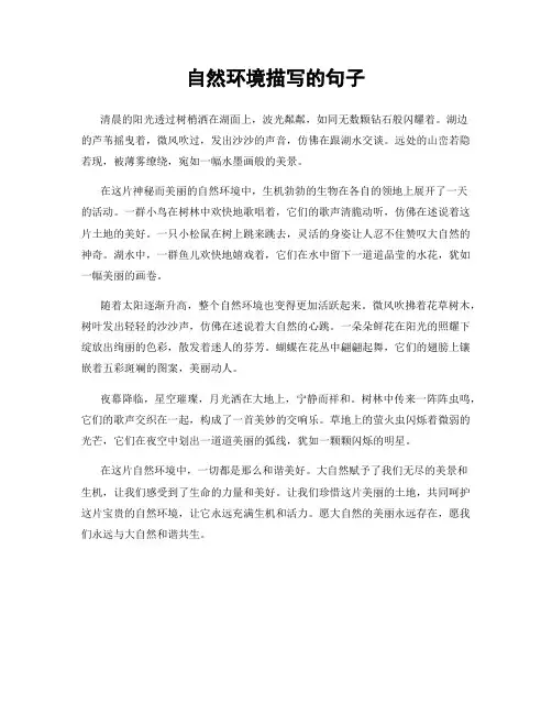 自然环境描写的句子