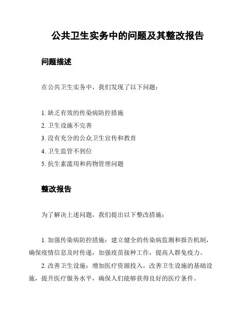 公共卫生实务中的问题及其整改报告