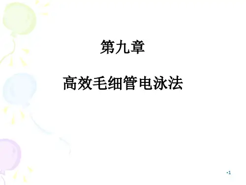 5.4 高效毛细管电泳