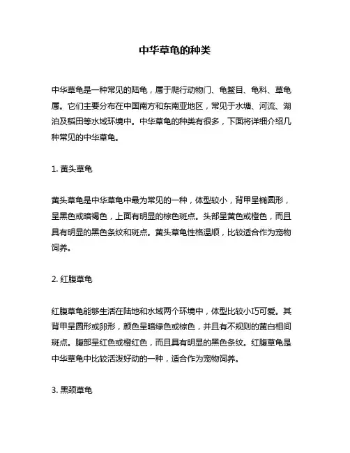 中华草龟的种类