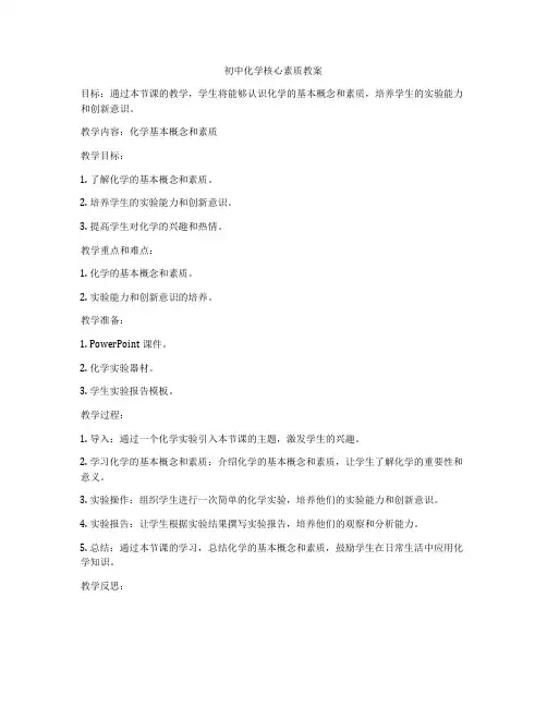 初中化学核心素质教案