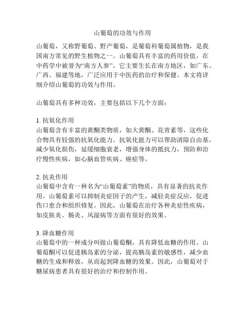 山葡萄的功效与作用