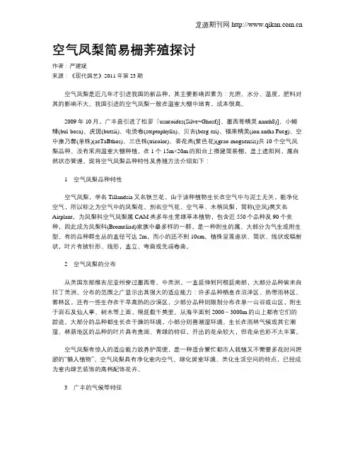空气凤梨简易栅荠殖探讨