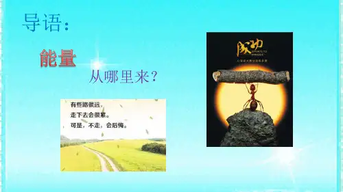 动物营养与饲粮学-第二章 第二节 碳水化合物与动物营养