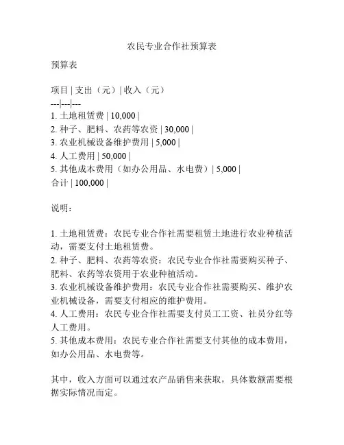农民专业合作社预算表
