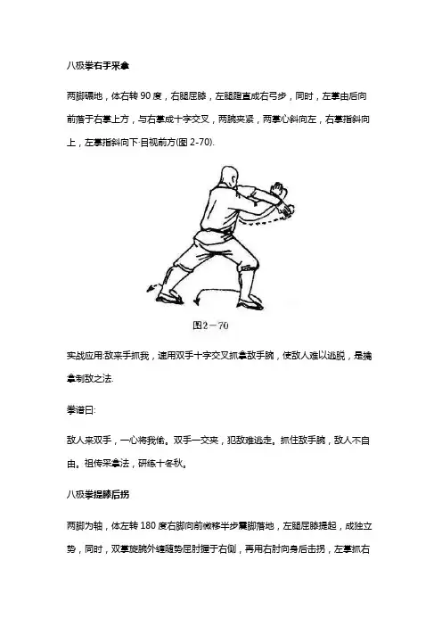 少林开门八极拳五十五至五十七式提膝后拐和冲打右捶等