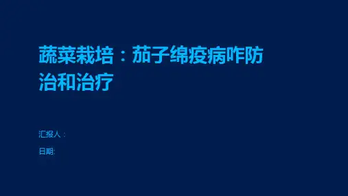 蔬菜栽培：茄子绵疫病咋防治和治疗