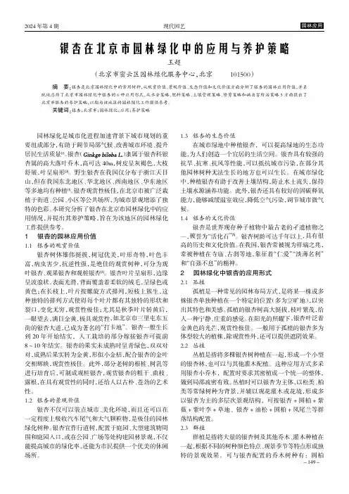 银杏在北京市园林绿化中的应用与养护策略