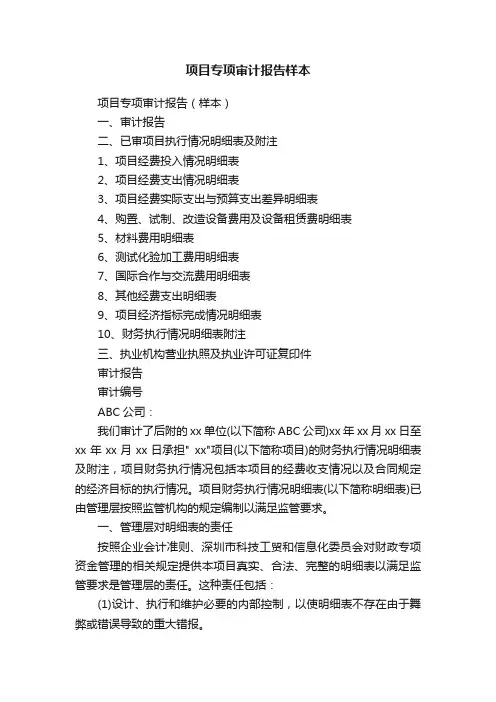 项目专项审计报告样本