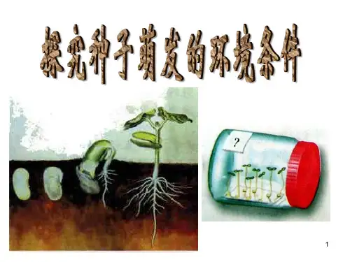 种子萌发的条件——探究实验PPT课件