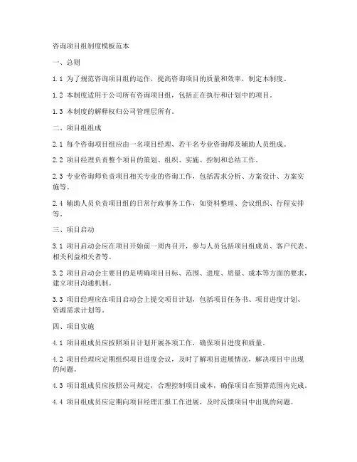 咨询项目组制度模板范本
