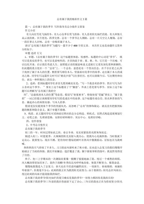 总有属于我的精彩作文5篇
