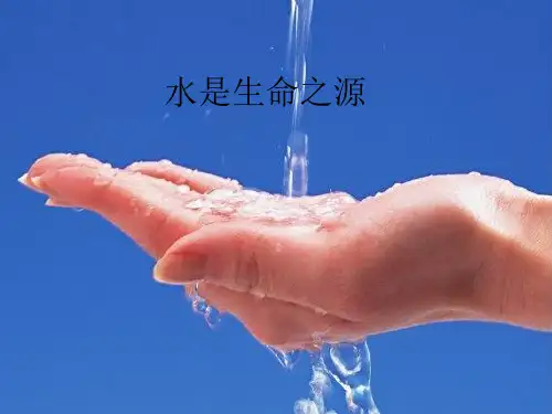 高中地理课件：环境污染与防治(精编版)
