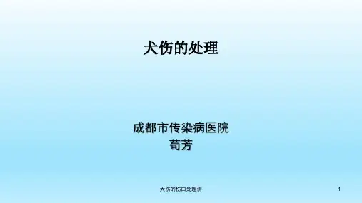 犬伤的伤口处理讲课件