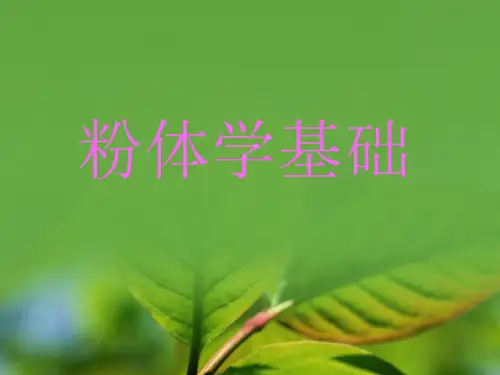 粉体学基础