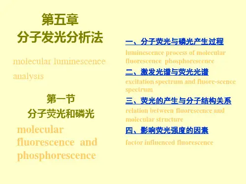 chapter5分子磷光和荧光