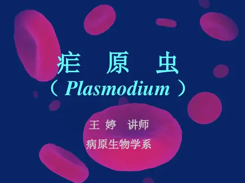 原虫二(疟原虫)