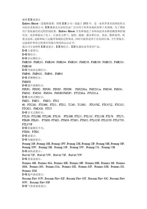德国EH流量计