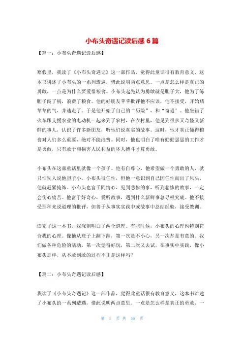 小布头奇遇记读后感6篇