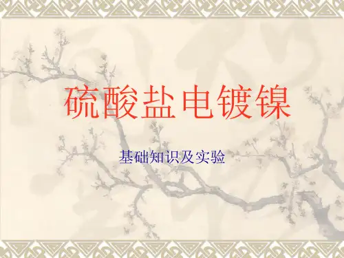 镀镍实验_精品文档