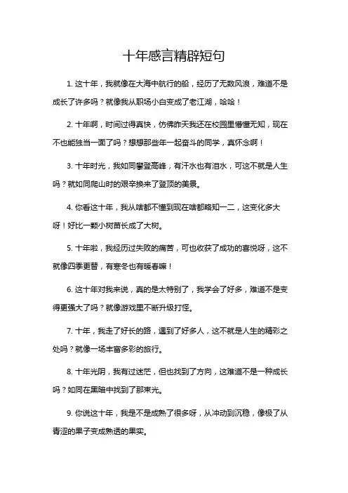 十年感言精辟短句