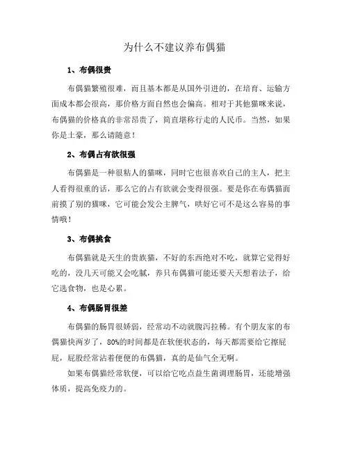 为什么不建议养布偶猫