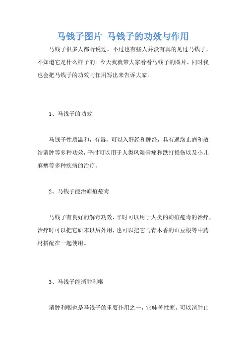 马钱子图片 马钱子的功效与作用