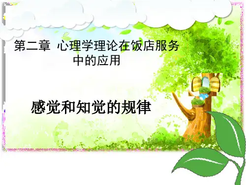 感觉和知觉的规律(二)