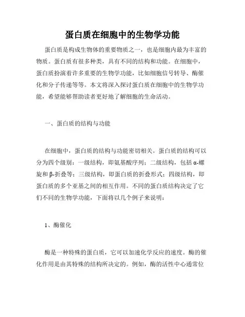 蛋白质在细胞中的生物学功能