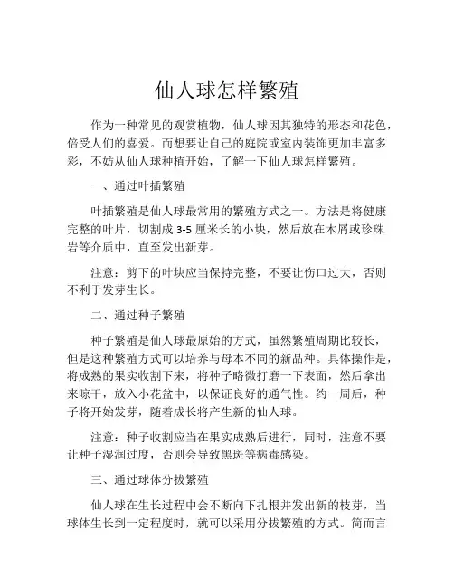 仙人球怎样繁殖