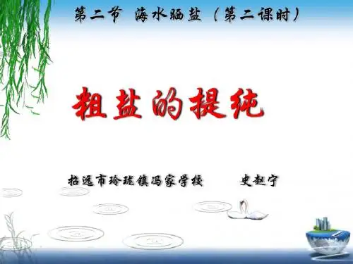 海水“晒盐”PPT课件6 鲁教版