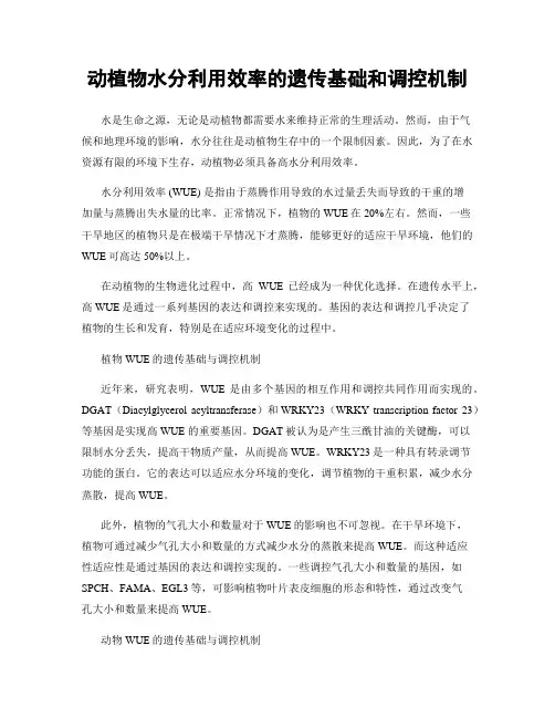 动植物水分利用效率的遗传基础和调控机制