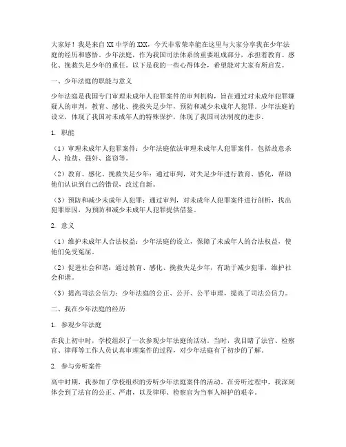 少年法庭经验交流发言稿