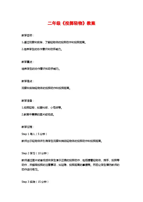 二年级《投掷轻物》教案