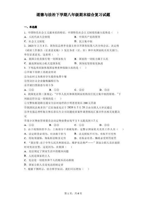 期末复习卷 部编版道德与法治八年级下册 (1)