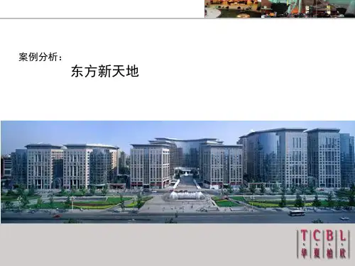 案例分析-东方新天地