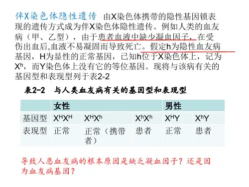 高中生物 2-3-4遗传信息的表达