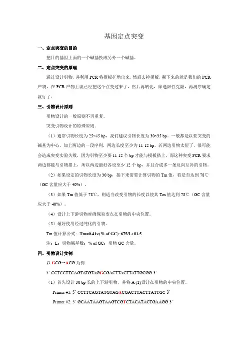 定点突变