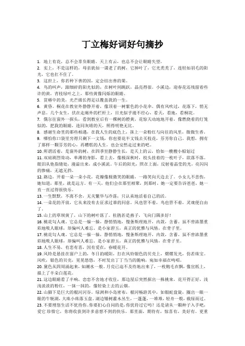 丁立梅好词好句摘抄