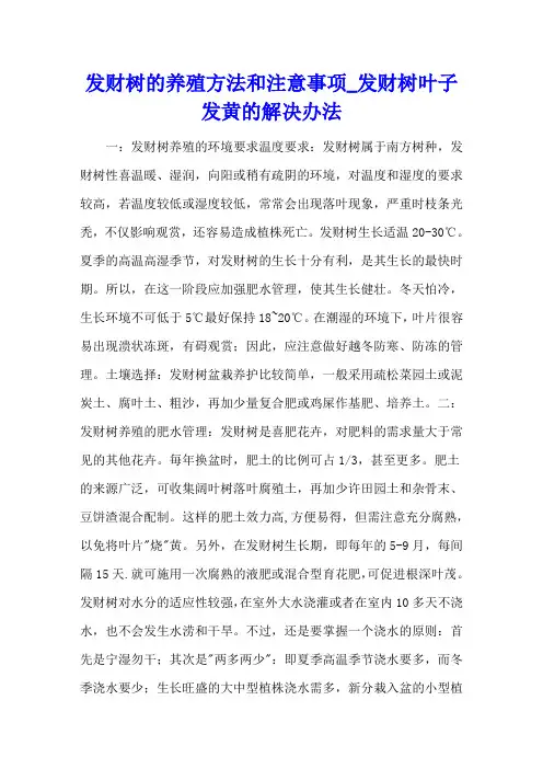 发财树的养殖方法和注意事项_发财树叶子发黄的解决办法