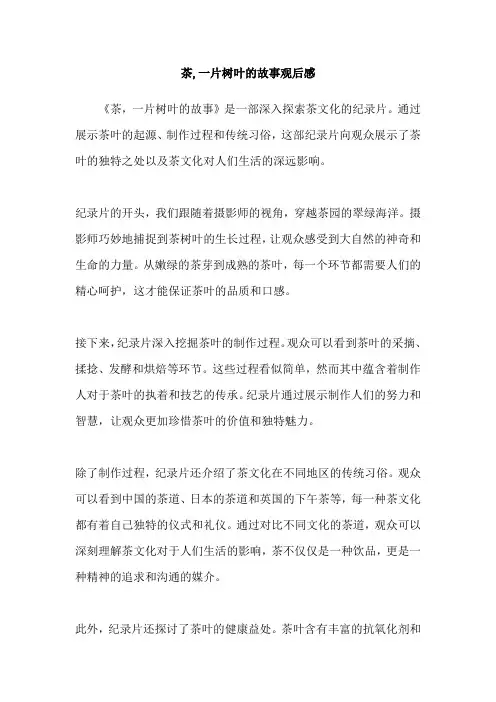 茶,一片树叶的故事观后感