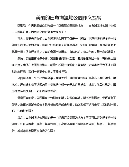 美丽的白龟湖湿地公园作文提纲