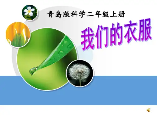 青岛版小学科学二年级上册《我们的衣服》说课课件