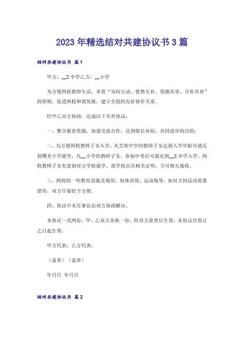 2023年精选结对共建协议书3篇