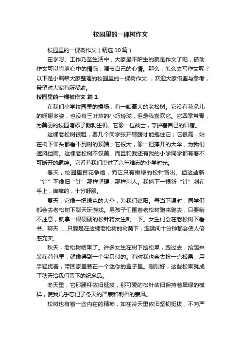 校园里的一棵树作文