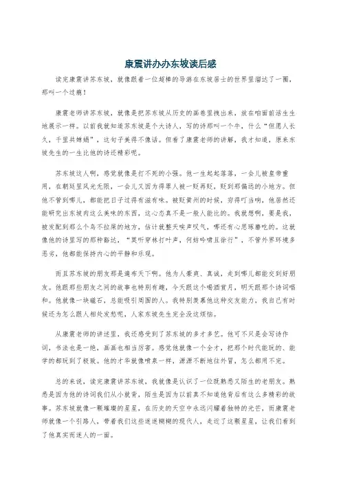 康震讲办办东坡读后感